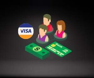 visa banking operator