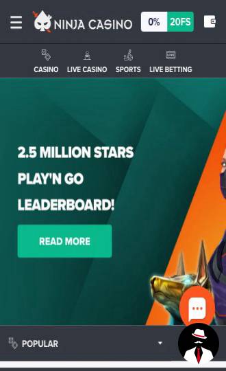 ninja casino review en